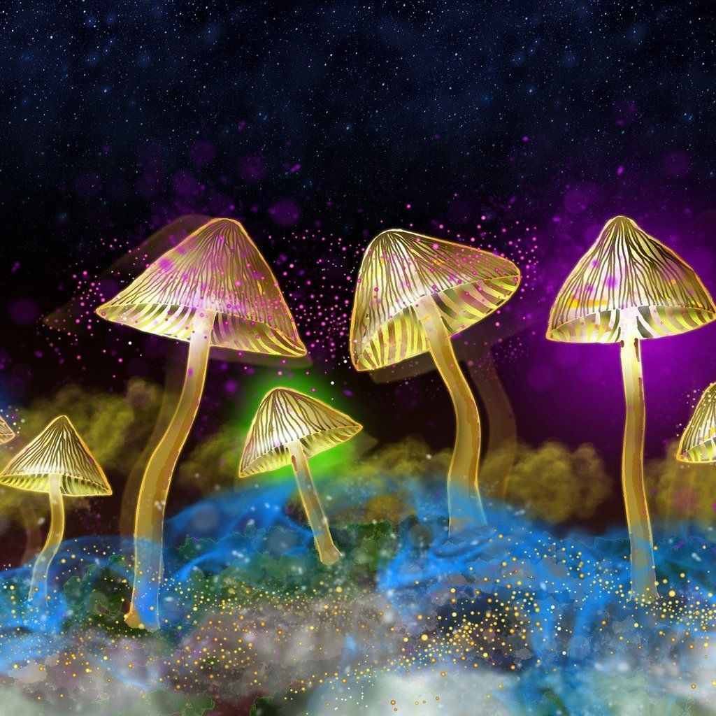 The Science of Psychedelics with Dr David Luke