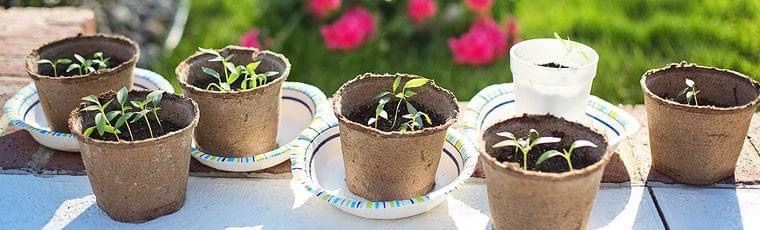 Hands on Workshop: Soil Testing for Home Gardeners