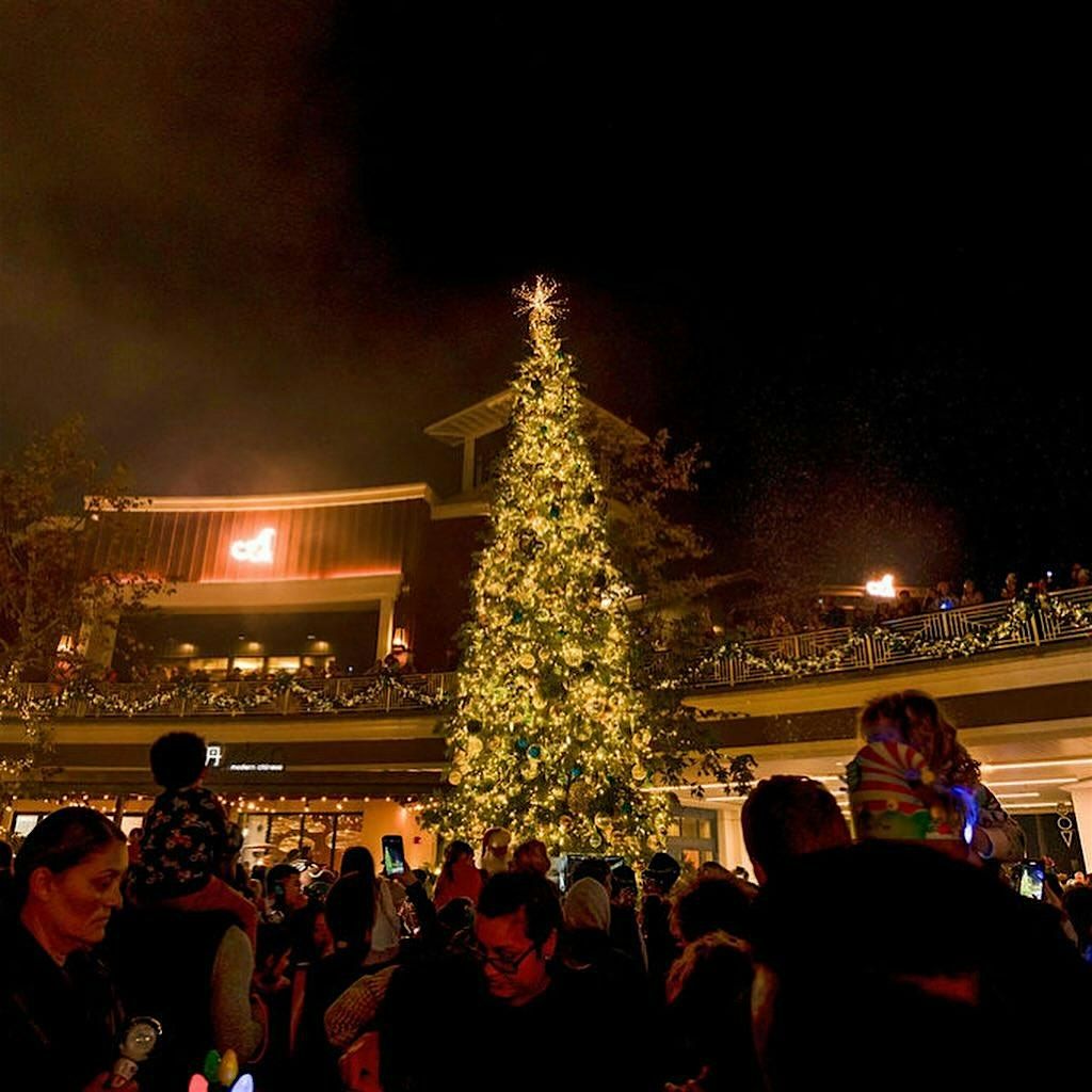 COASTAL SNOWFALL AT 2ND & PCH