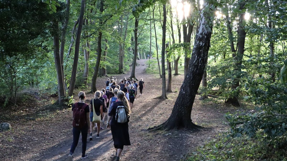 Rom-vandring med Womens Hiking Club