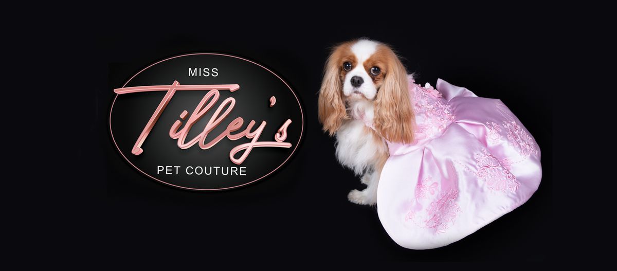 Miss Tilley's Pet Couture at Bowerbird