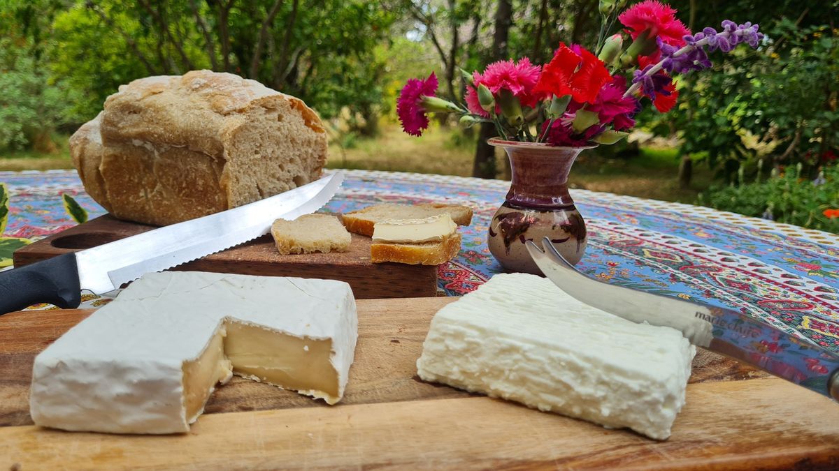 Cheese Making Workshop 