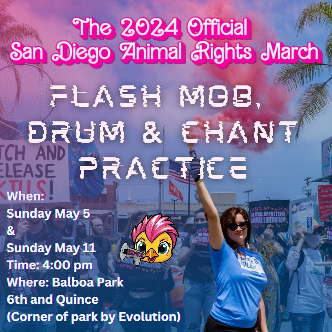 Flash Mob, Drum & Chant Practice! 