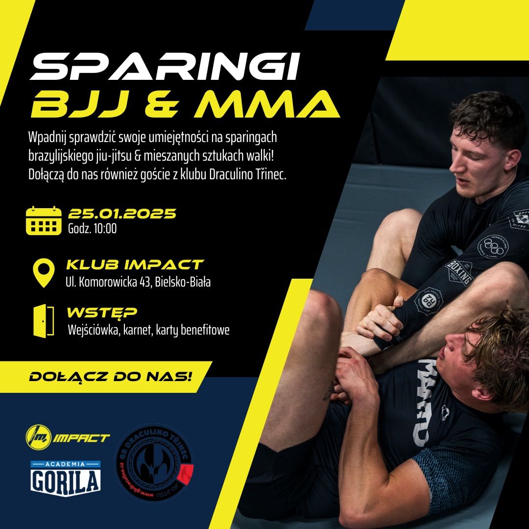 Sparingi BJJ & MMA w klubie Impact \ud83e\udd4a\ud83e\udd4b