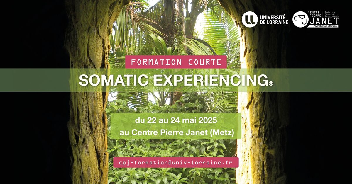 Formation Courte "Introduction \u00e0 la Somatic Experiencing\u00ae"