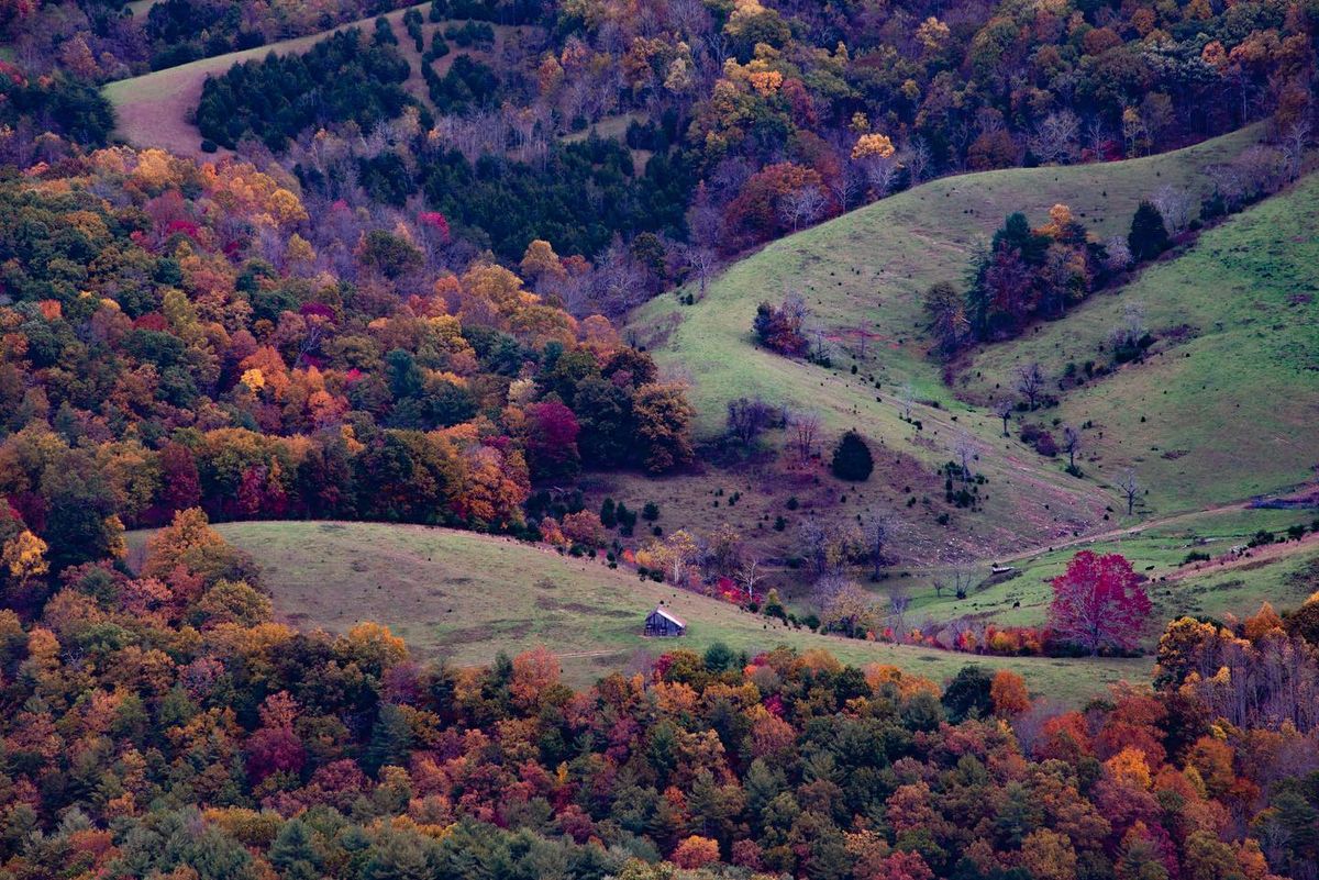 Outdoor Photography Fall Foliage