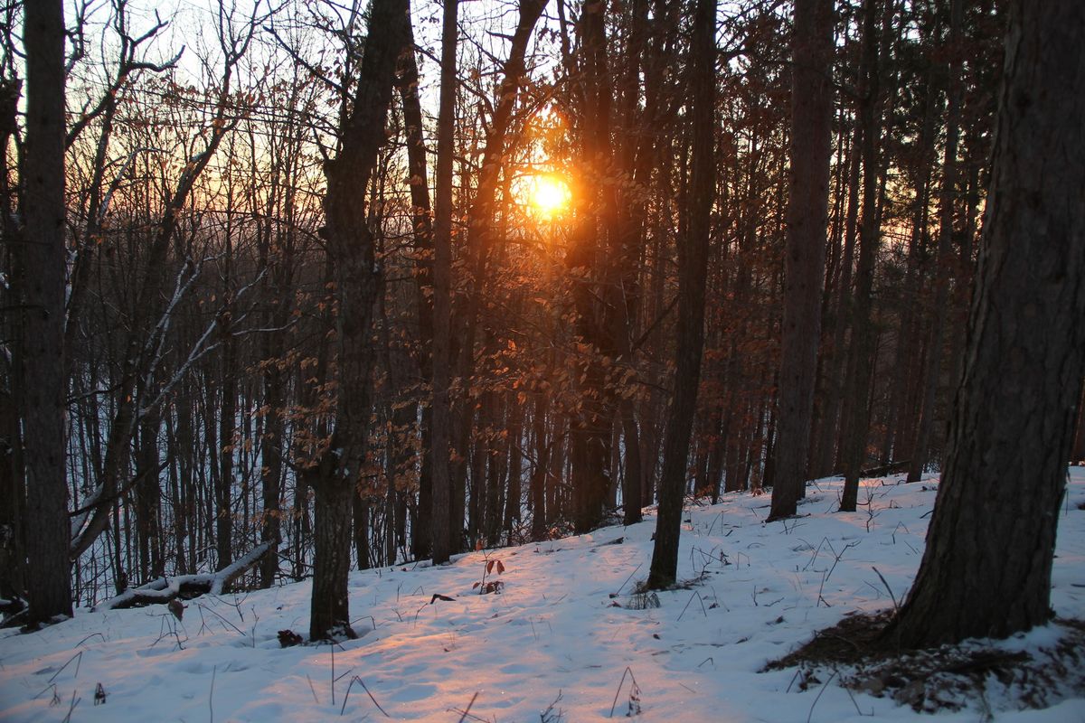 Solstice Winter Hike