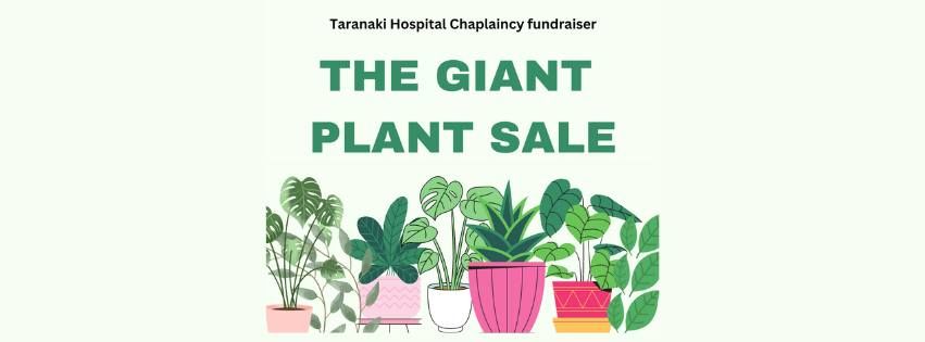 The Giant Plant Sale - Taranaki Hospital Chaplaincy fundraiser