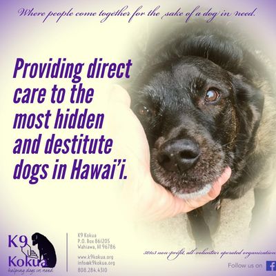 K9 Kokua