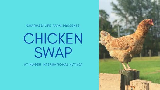 Chicken Swap at NuGen International