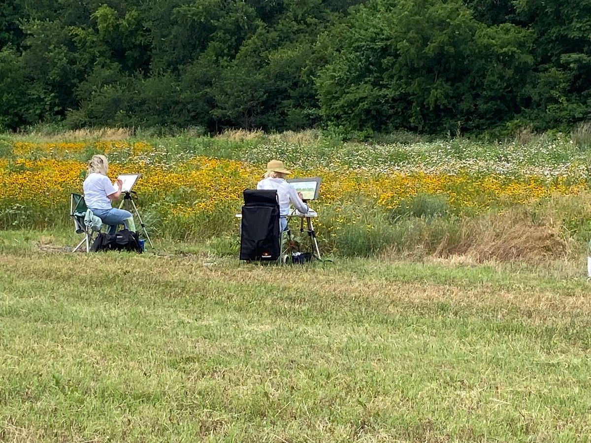 Artists in the Meadow 2024