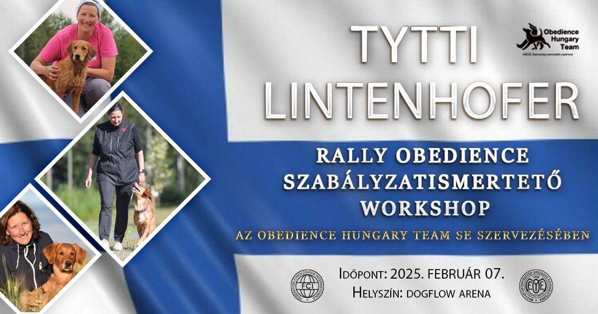 TYTTI LINTENHOFER Szab\u00e1lyzatismertet\u0151 Workshop