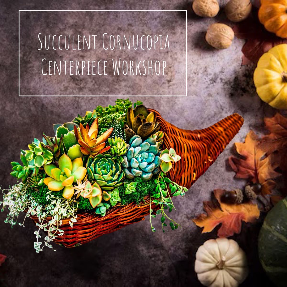 Succulent Cornucopia Centerpiece Workshop