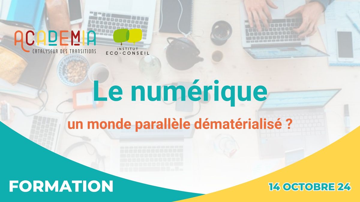 FORMATION : Le num\u00e9rique, un monde parall\u00e8le d\u00e9mat\u00e9rialis\u00e9 ?