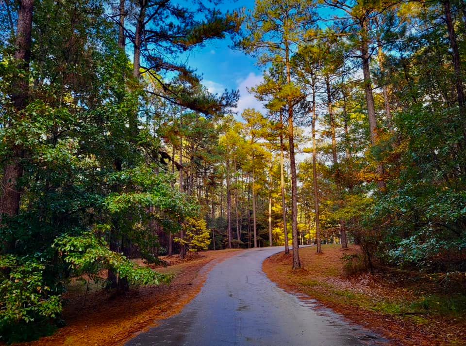 LeFleur's Bluff State Park Guided Bird Watching Hike