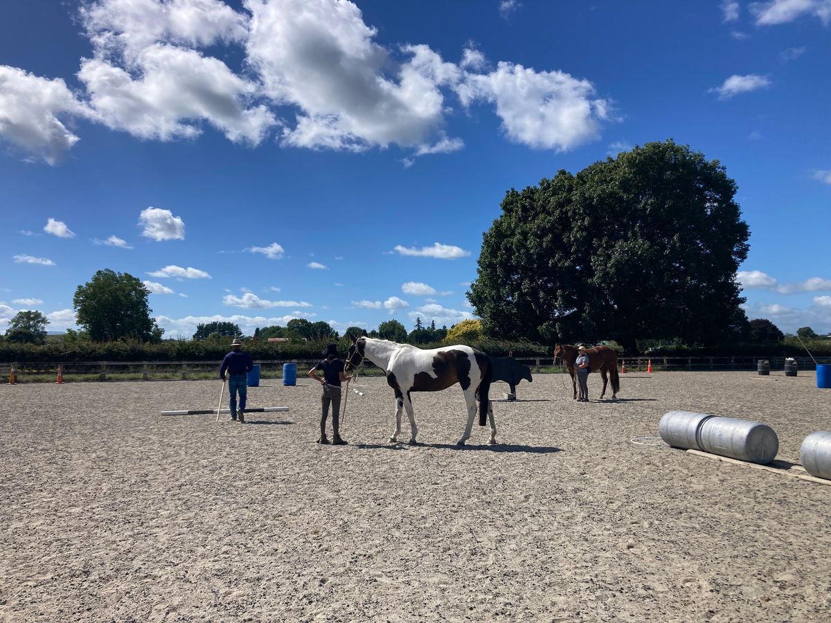 Stage 1 - Introduction to Horsemanship (ground skills)