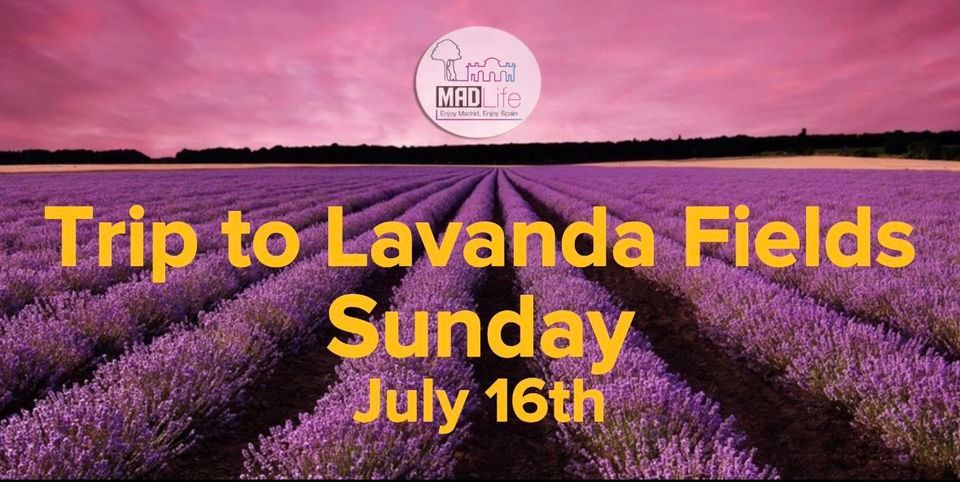 Trip to Lavanda Fields! JULY 16TH.