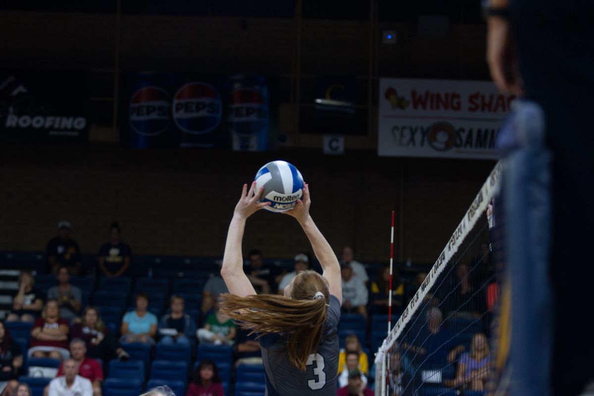 UNC Bears Volleyball vs. Montana State