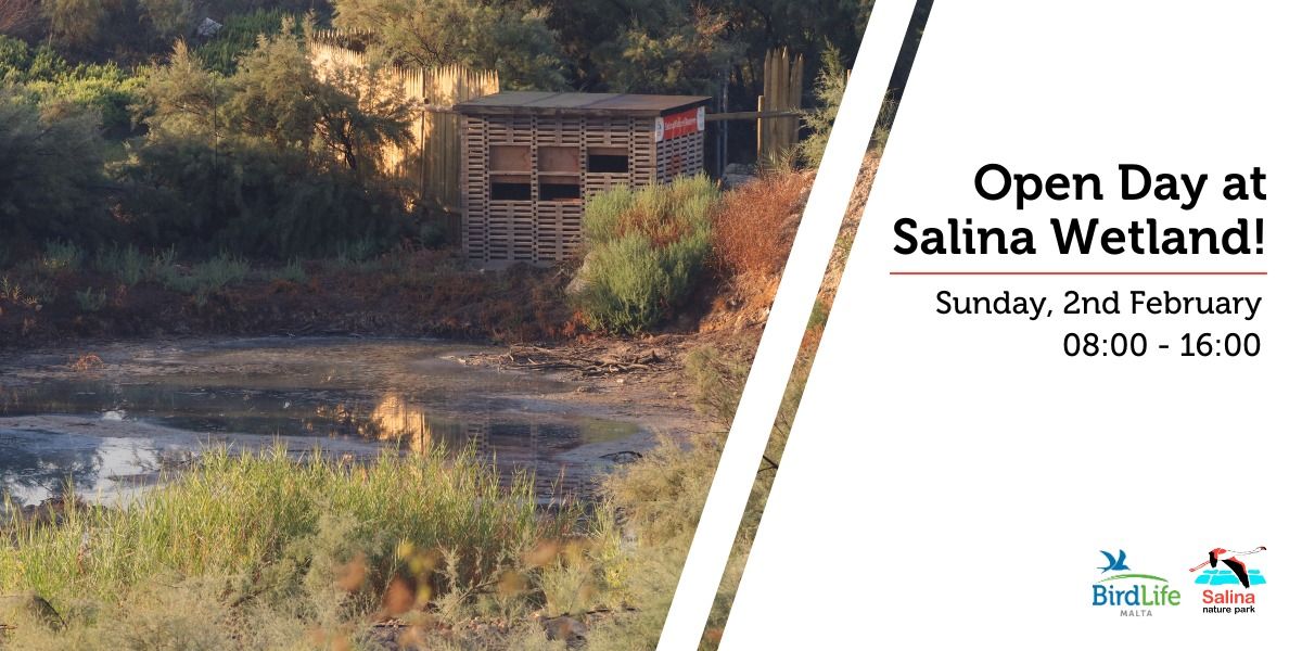 Open day at Salina Wetland! 