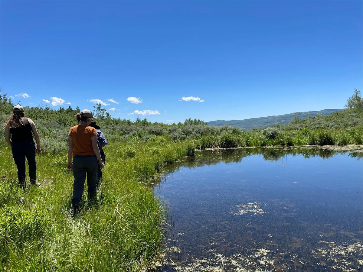 Day Trip: Left Fork Currant Creek Ponds 1-3 (Ride with Zoo)