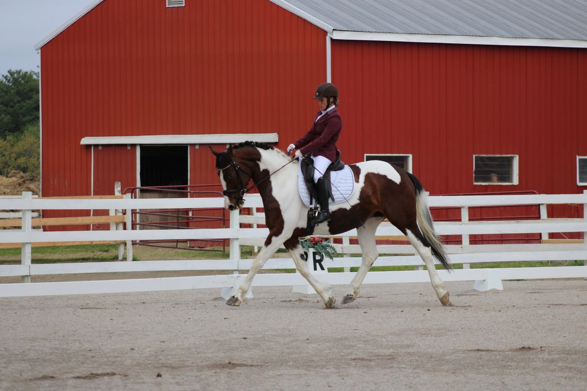 WMDA Fun show- Dressage & 2 Phase