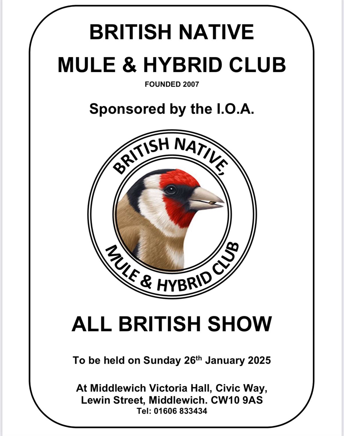 Middlewich British Native, Mule & Hybrid Club Show 