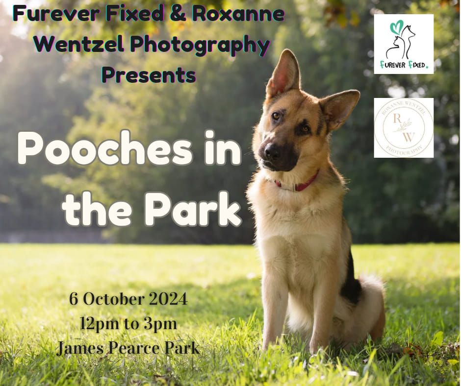 Pooches in the Park