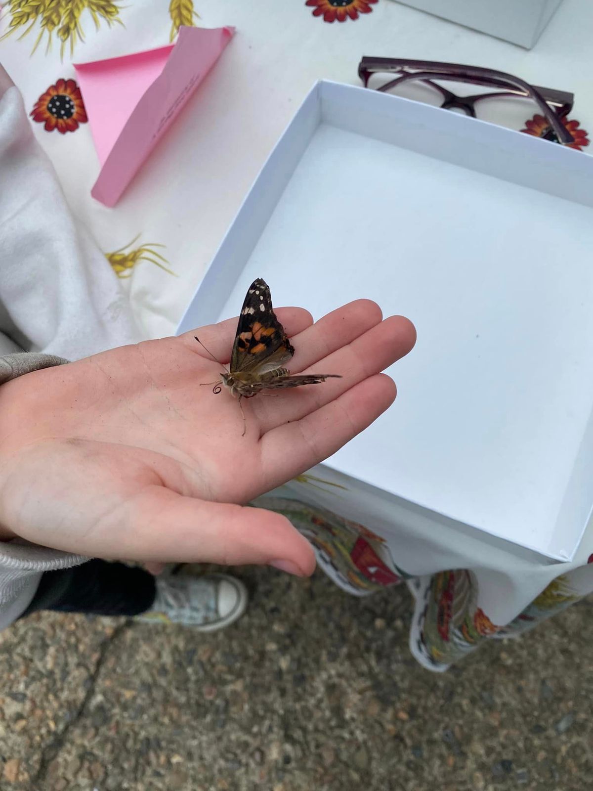 Butterfly Release 2024 for Bereaved parents of the USA