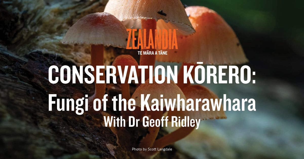 Conservation K\u014drero - Fungi of the Kaiwharawhara