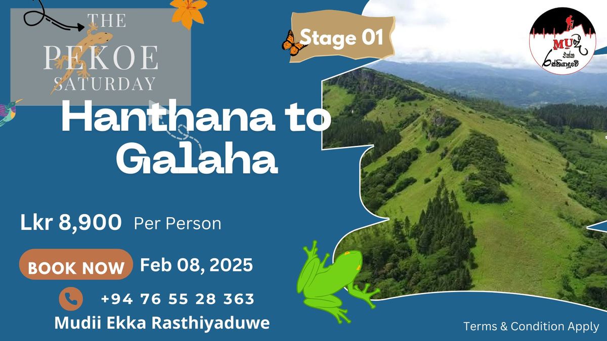 Hanthana \u21cc Galaha \ud83d\udc63\ud83d\uddfa\ufe0f\ud83d\udc9a\ud83c\udf42 (The Pekoe Trail Stage 01)