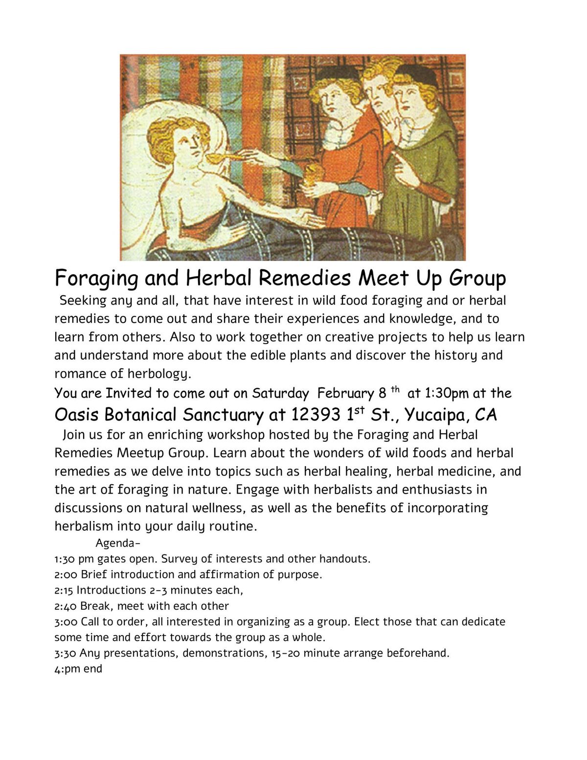 Foraging and Herbal Remedies Club Meetup