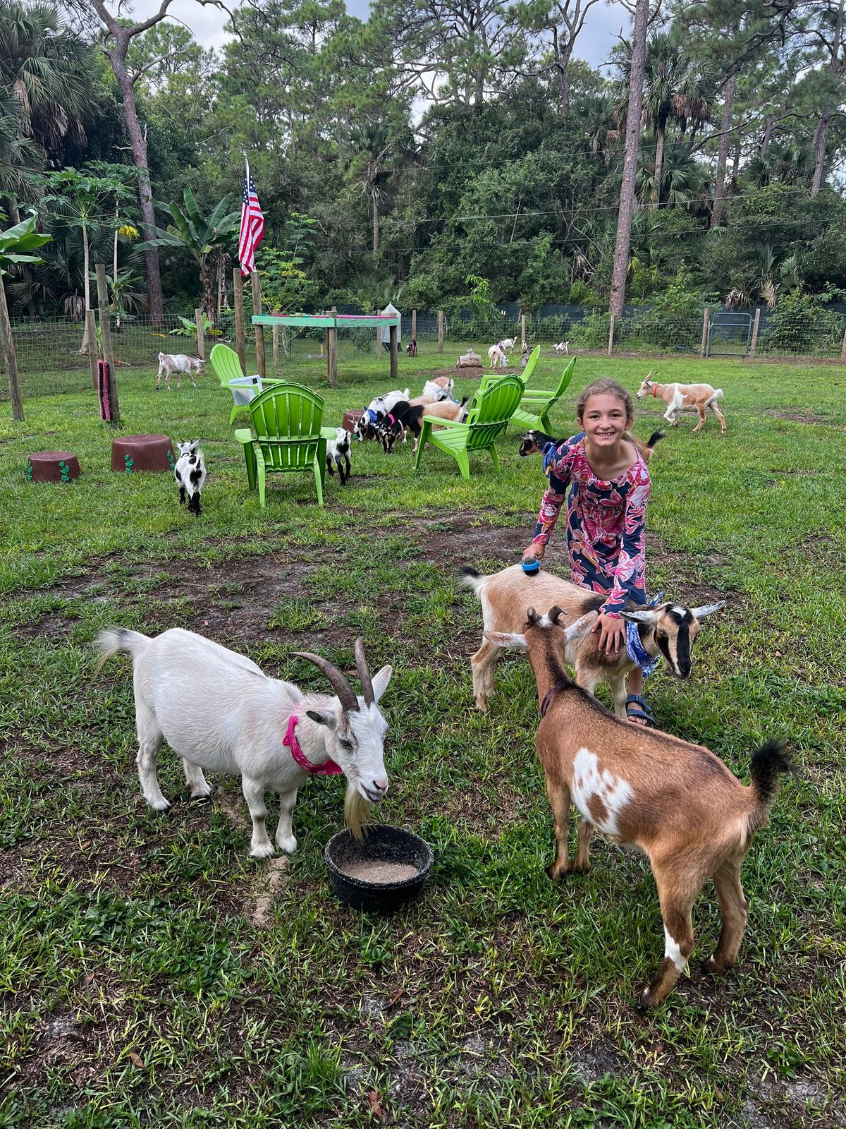 Story Time For Toddlers With Goats 