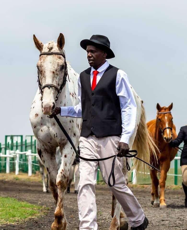 Peraldi Horse Riding Training Show 