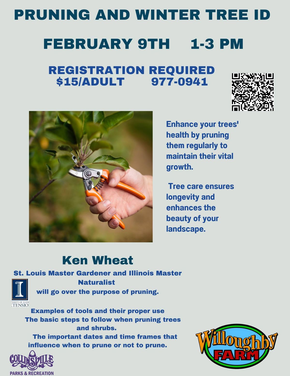 Sustainability Series- Pruning and Winter Tree ID