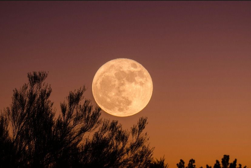 Full Moon Ceremony with Genevieve Munro