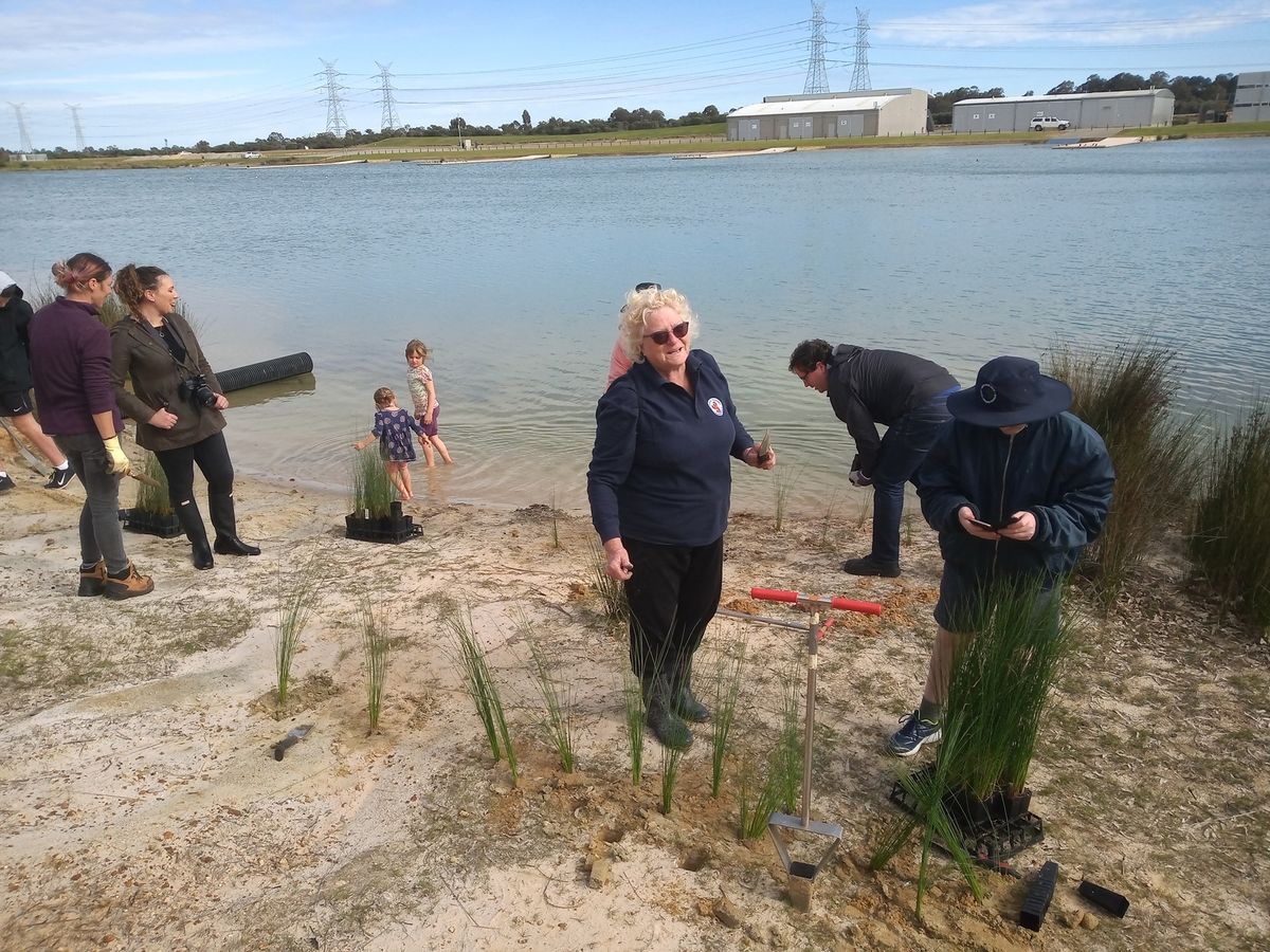 Planting at Champion Lakes