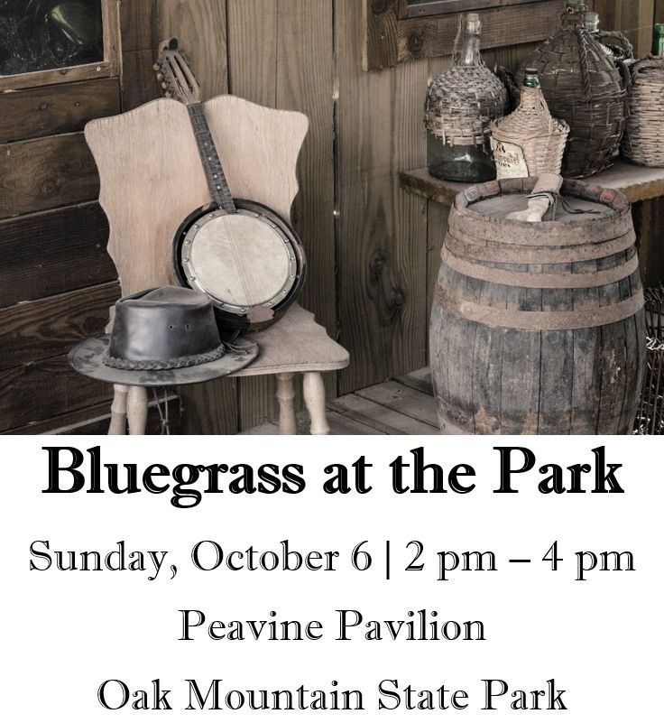 Bluegrass at the Park 