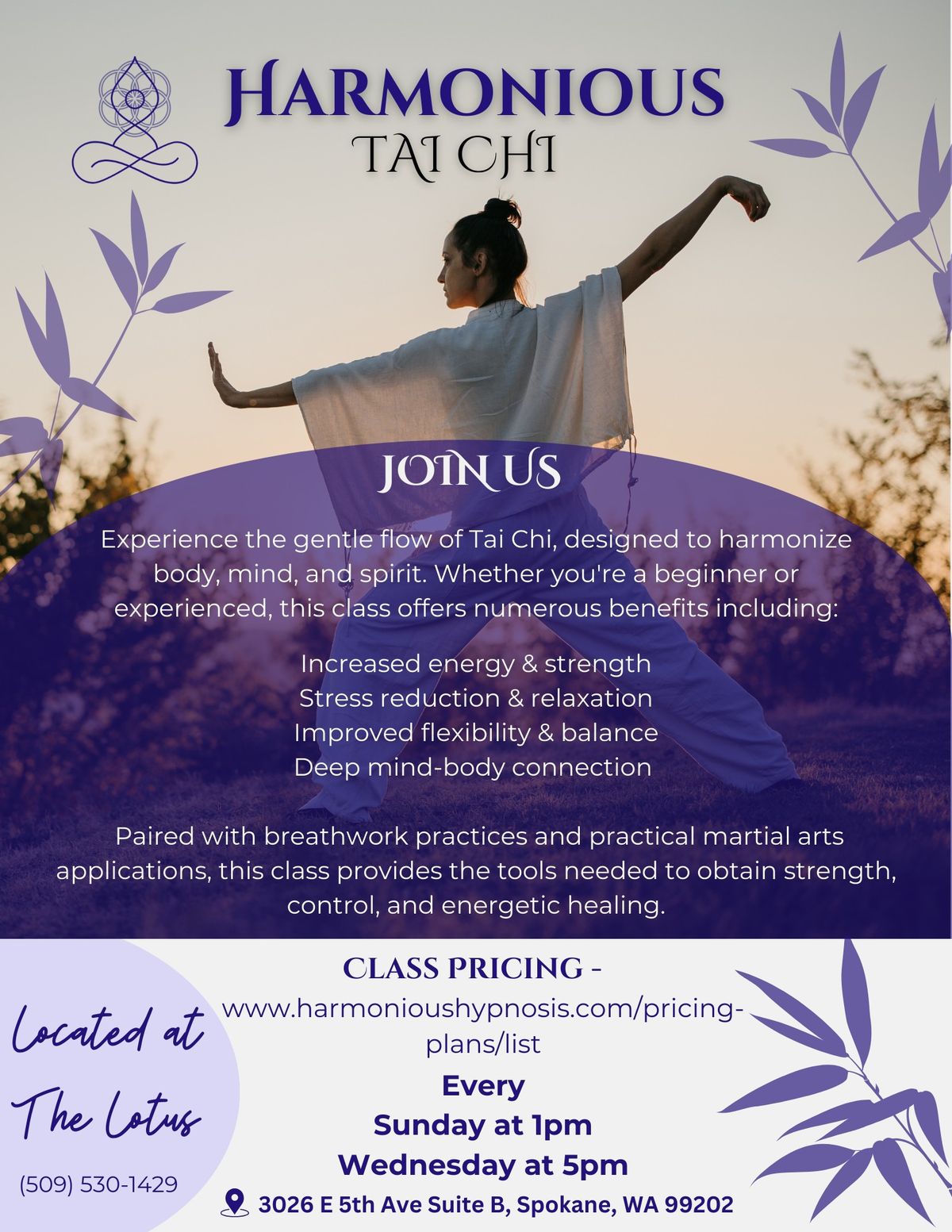 Harmonious Tai Chi