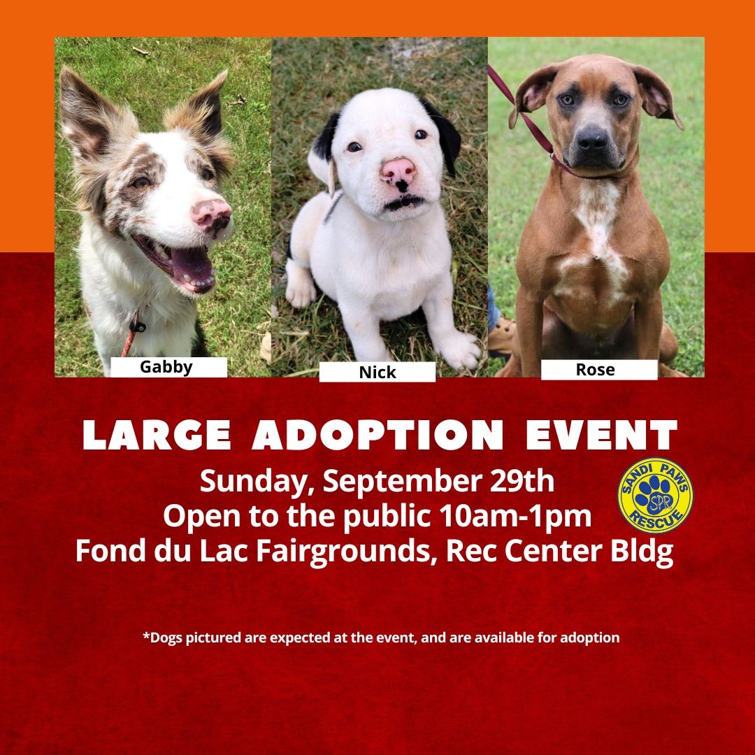 Sandi Paws Rescue Monthly Transport and Adoption Event