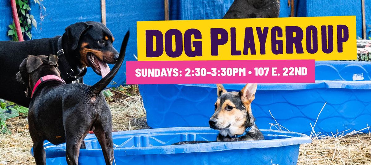 Sunday Playgroup