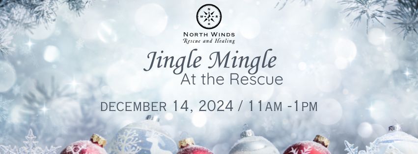 Jingle Mingle at the Rescue