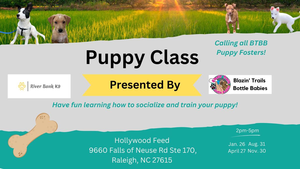 Big Kid Foster Puppy Training Class