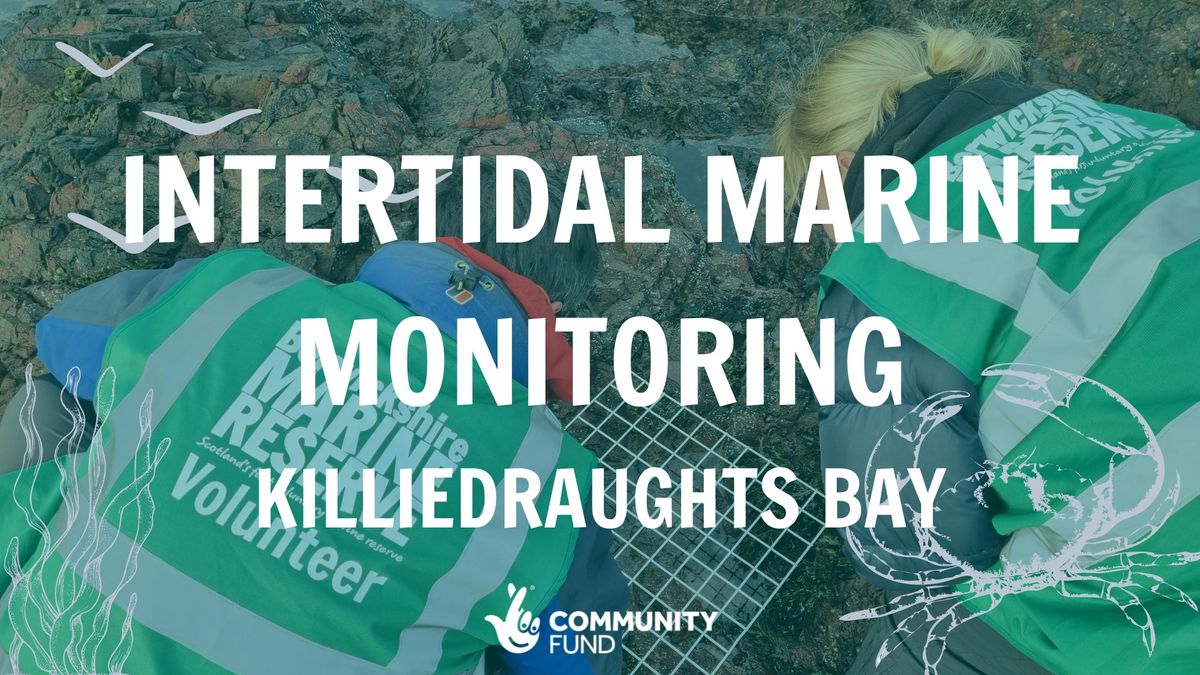 Intertidal Marine Monitoring - Killiedraughts Bay