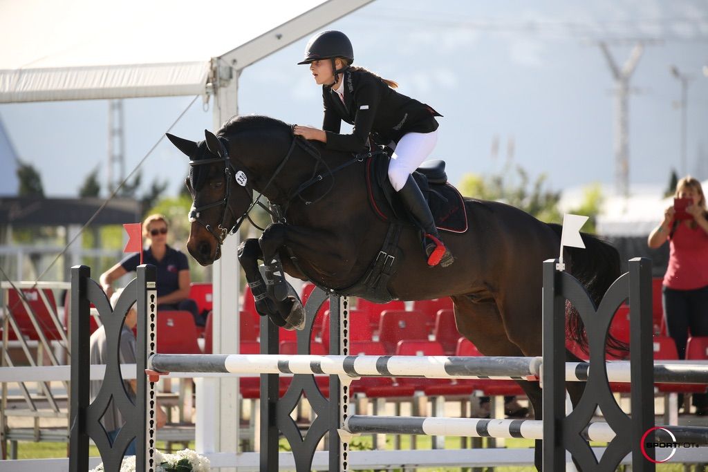 Confidence Building Jumping Clinic @ Crabbick Farm