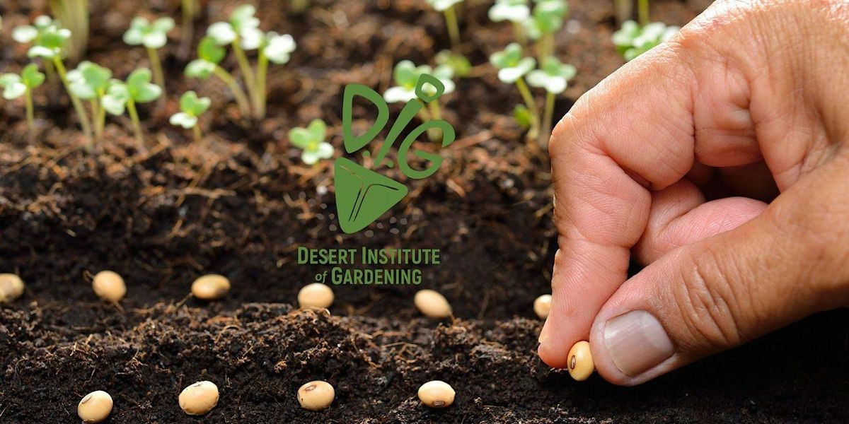 DIG IN-PERSON: Seed Starting Success