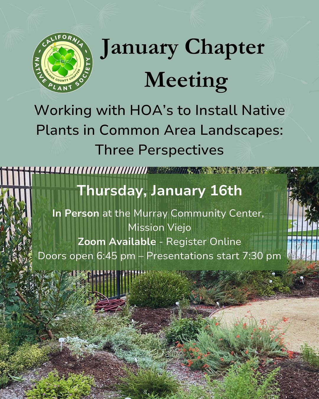 HOAs and Native Plants: A Friendly Discussion