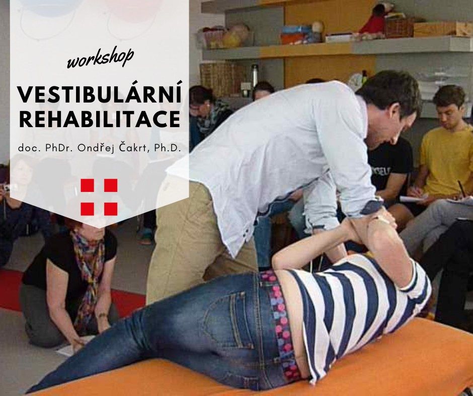 Vestibul\u00e1rn\u00ed rehabilitace