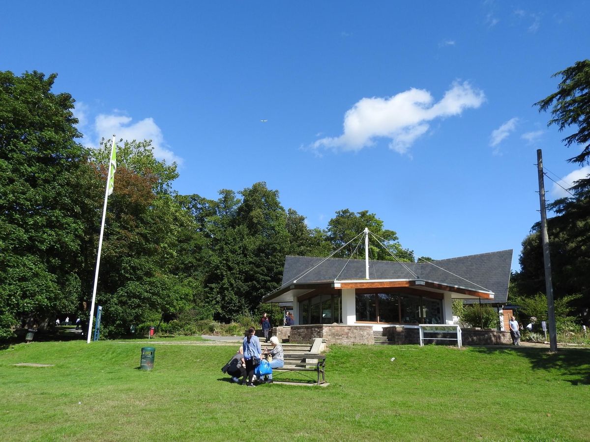 Bedfords Park Birds of Prey Half-Term Fun