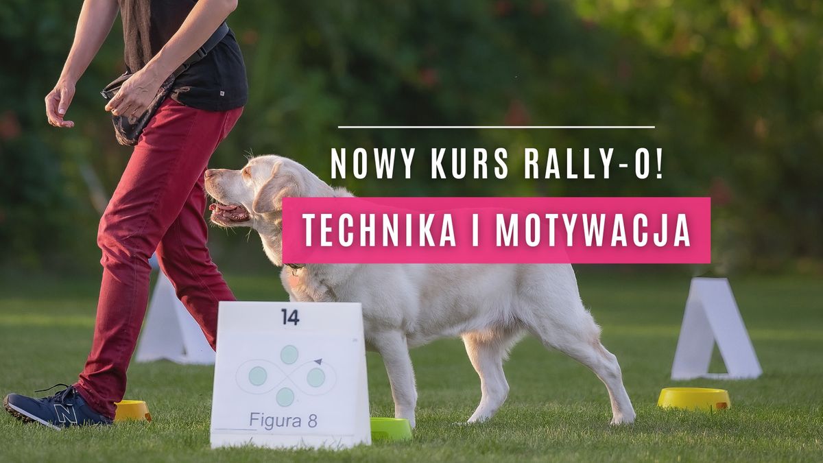 RALLY-O - TECHNIKA & MOTYWACJA