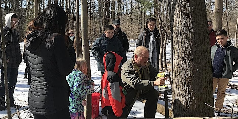 Making Maple Syrup